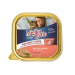 MIGLIOR GATTO GR.100 SALMONE