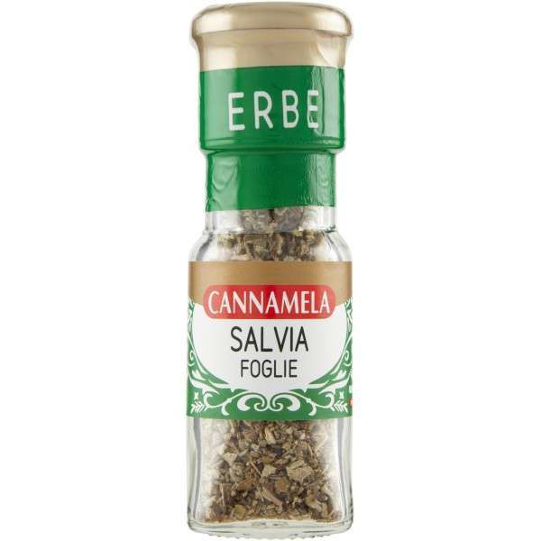 087543 VS.SALVIA GR.08 - immagine 1