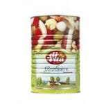 GIARDINIERA DI VITA T 4.100