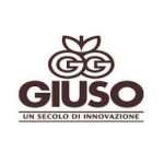 G G OVO GIUSO VS.1,200