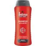 SHAMPOO INTESA ANTIFORFORA 300