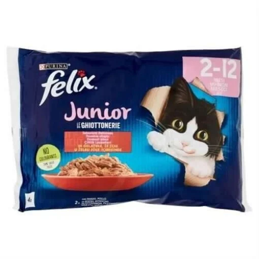 FELIX GHIOTTONERIEx4 85 JUNIOR
